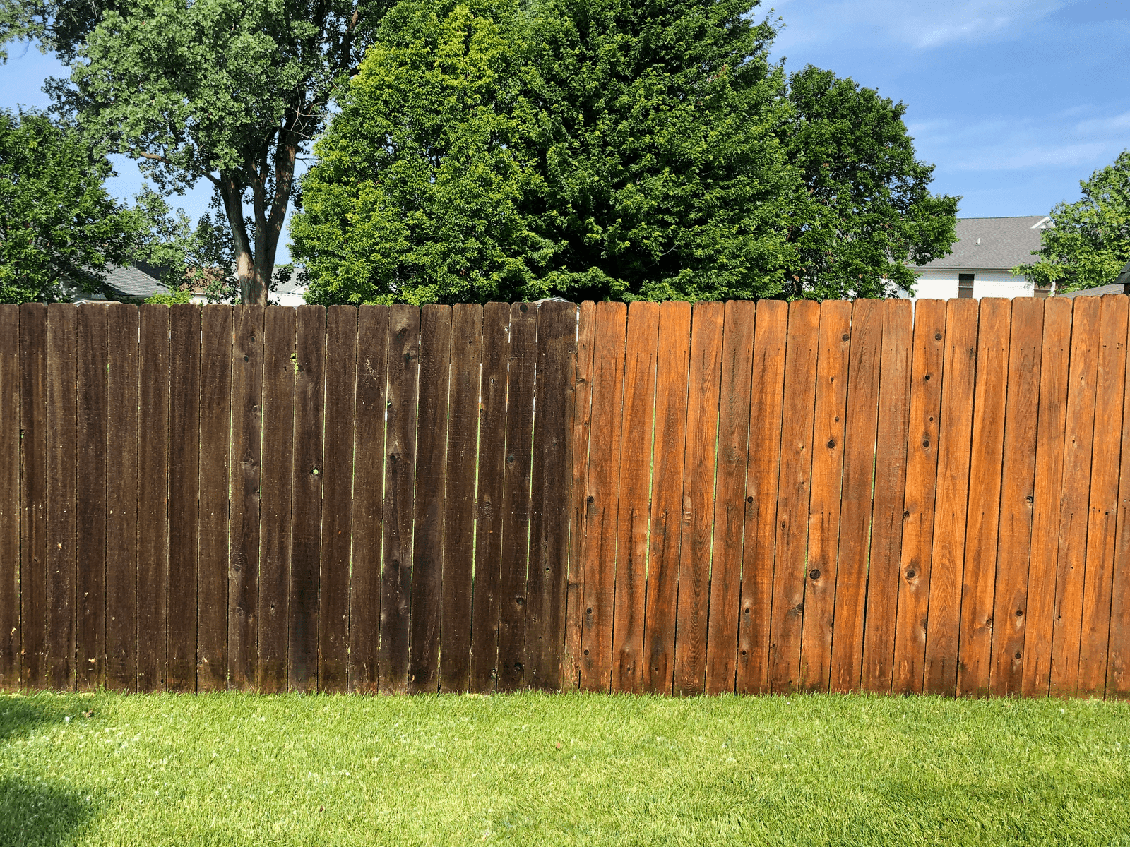 Fence Cleaning